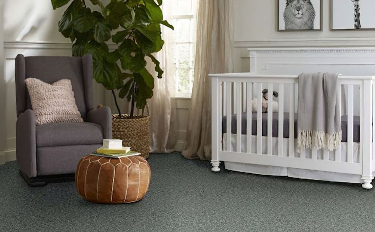 cozy carpet